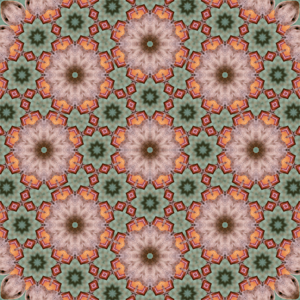 16-fold thrice Goose