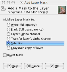 Add Layer mask