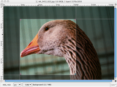 Cropping