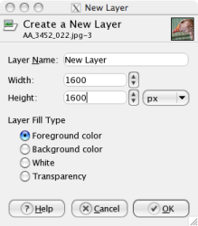 New Layer