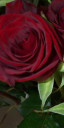 A Rose By Any Other Name