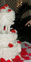 Our Wedding