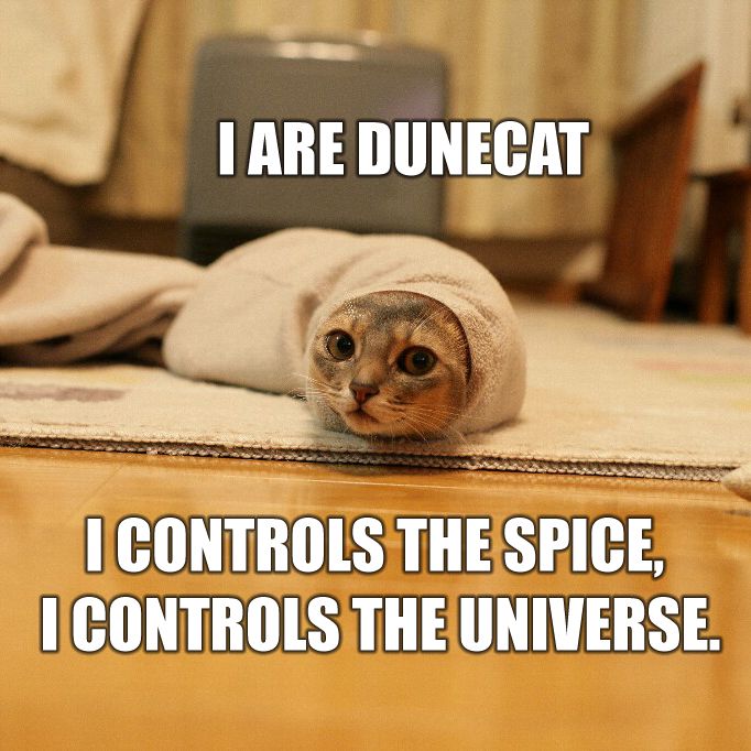 spicecat