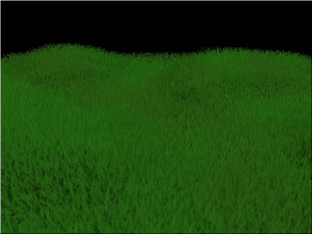 ethangrass2.jpg
