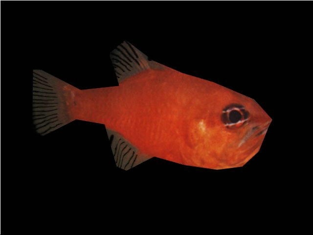 fishy.jpg