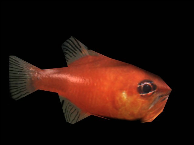 fishy2.jpg