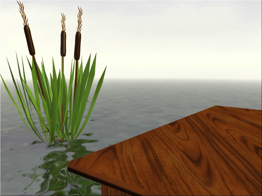 waterdockwplants.jpg