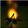 campfire2.jpg