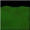 ethangrass2.jpg