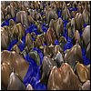 rocks.jpg
