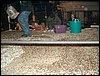 Dscf0116.jpg