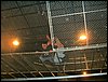 Dscf0122.jpg