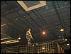 Dscf0126.jpg