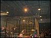 Dscf0128.jpg