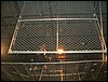 Dscf0136.jpg