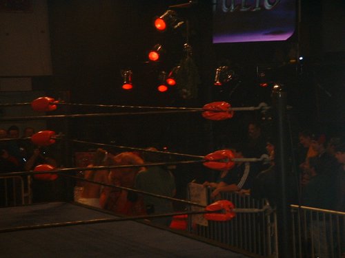 DSCF0009.JPG