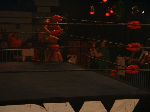 DSCF0010.JPG