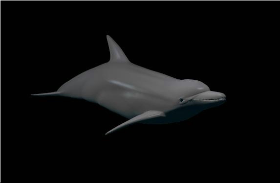 gooddolphin.jpg