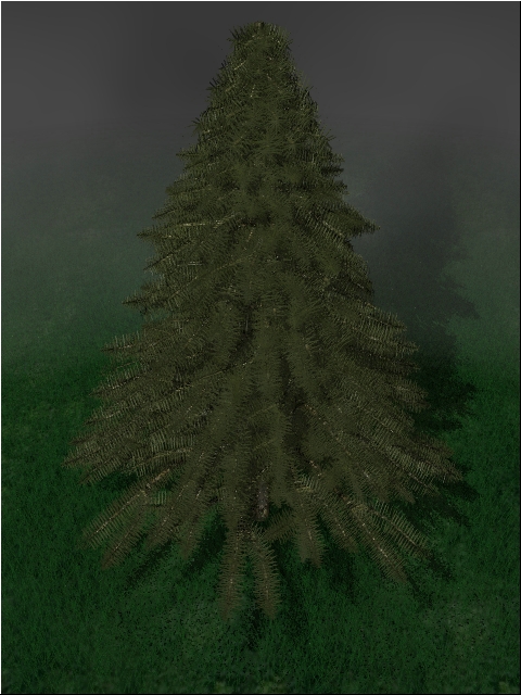 pine.jpg