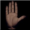 hand.jpg