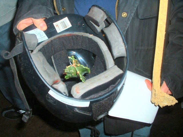Dscf0163.jpg