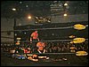 Dscf0026.jpg