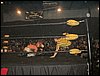 Dscf0054.jpg