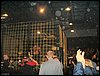 Dscf0143.jpg
