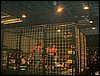 Dscf0155.jpg