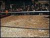 Dscf0156.jpg