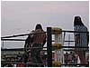 IMG_1375.JPG