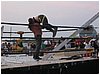 IMG_1381.JPG
