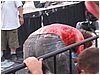 IMG_1384.JPG