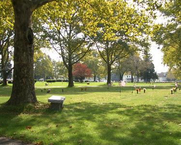 gravesite1a.jpg