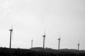 windmill