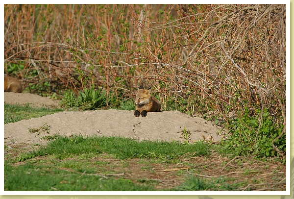 DSC_0026