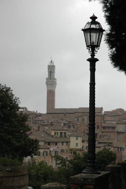 Original image