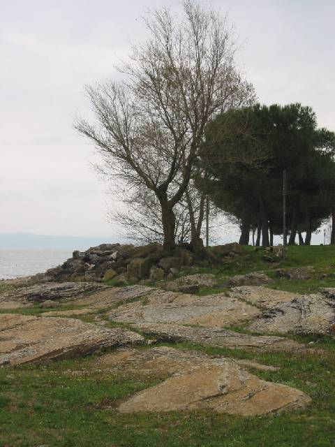 Original image
